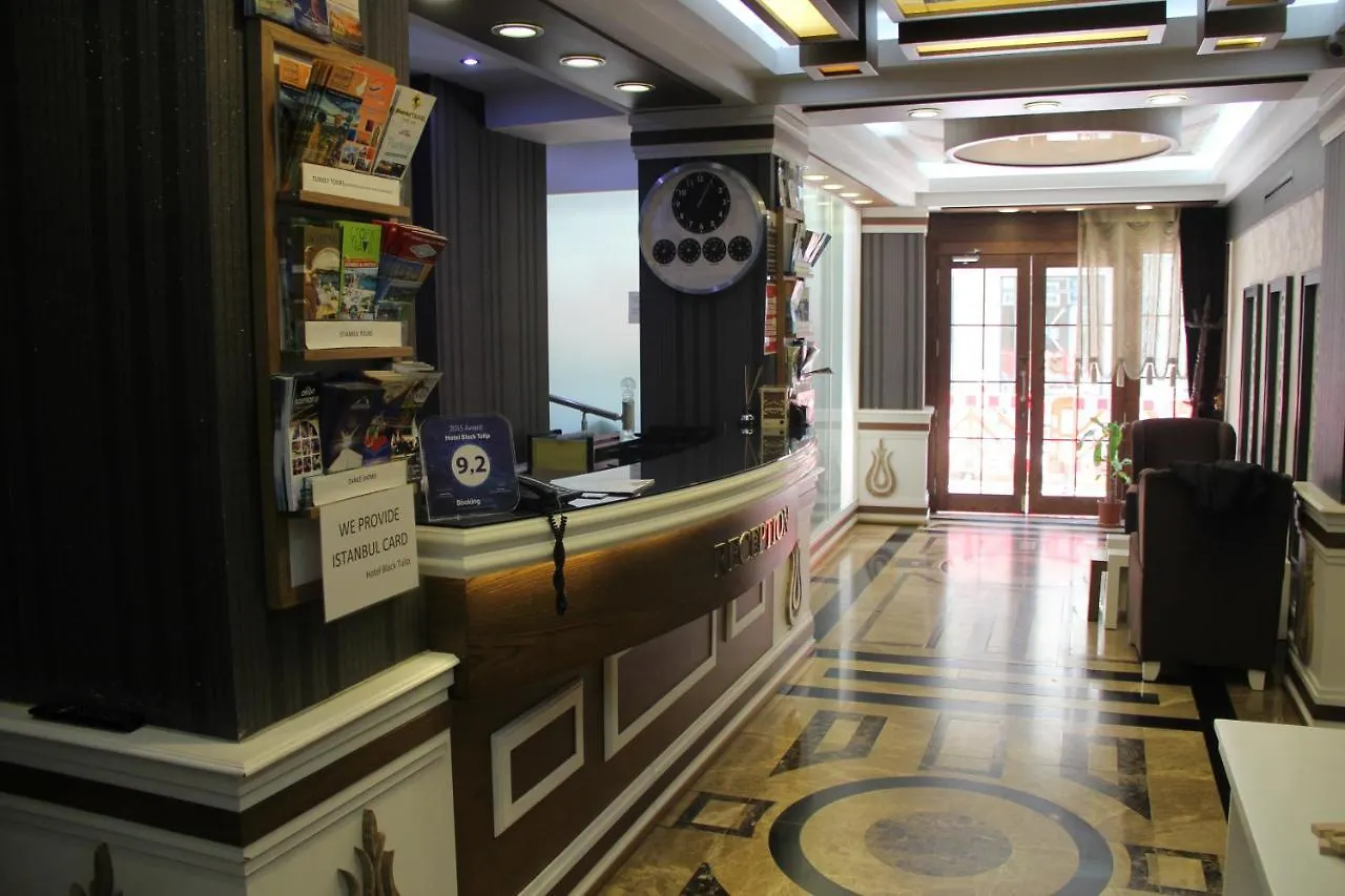 Hotel Black Pearl Istambul 3*,